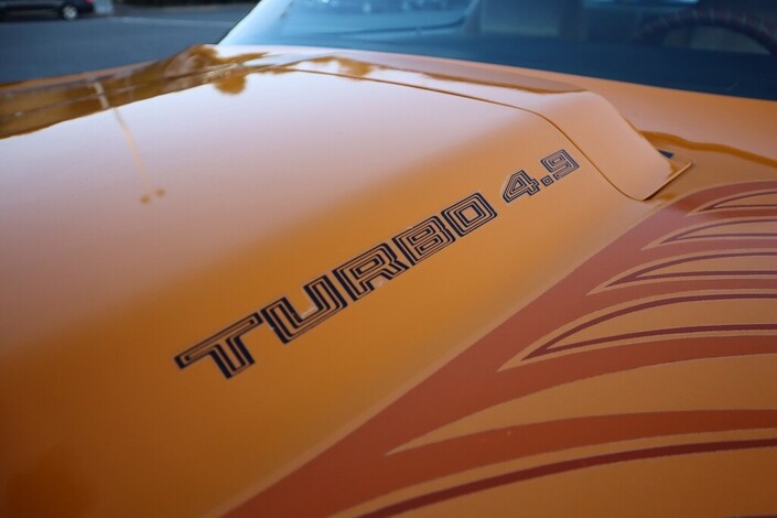 Pontiac Firebird Trans AM 4,9 Turbo V8 Coupe  Automaatti - Harvinaisuus!! Juuri katsastettu!!, vm. 1981, 84 tkm (11 / 29)