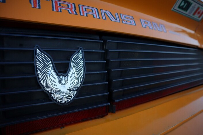 Pontiac Firebird Trans AM 4,9 Turbo V8 Coupe  Automaatti - Harvinaisuus!! Juuri katsastettu!!, vm. 1981, 84 tkm (14 / 29)