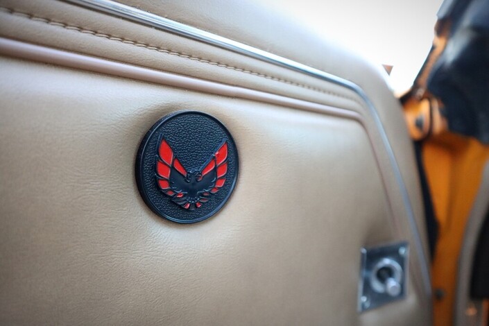 Pontiac Firebird Trans AM 4,9 Turbo V8 Coupe  Automaatti - Harvinaisuus!! Juuri katsastettu!!, vm. 1981, 84 tkm (22 / 29)